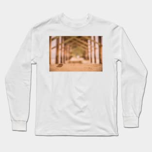 Shells scapes 4 Long Sleeve T-Shirt